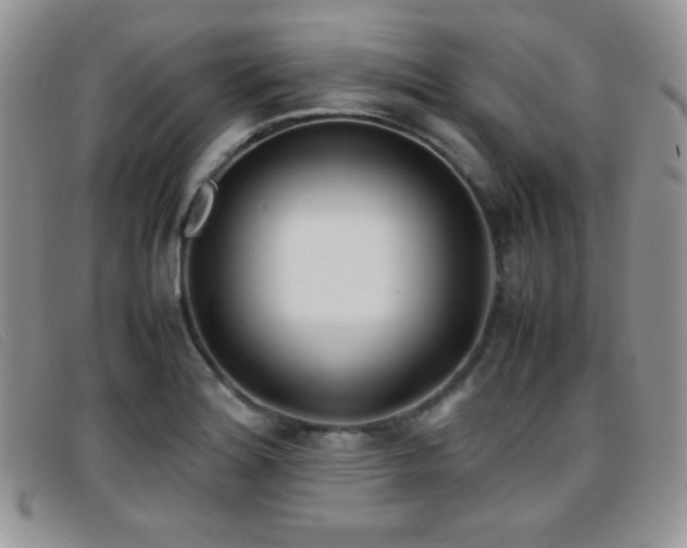X0000096671180200802051216