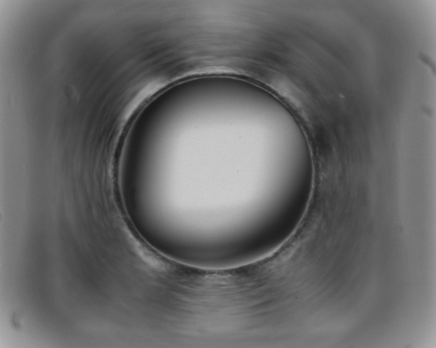 X0000096671181200802051216