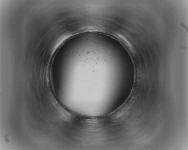 X0000096671182200802051216