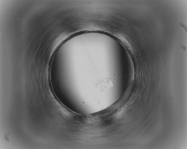 X0000096671183200802051216
