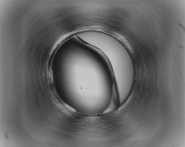 X0000096671184200802051216