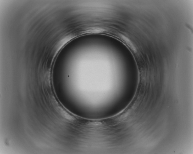 X0000096671186200802051215