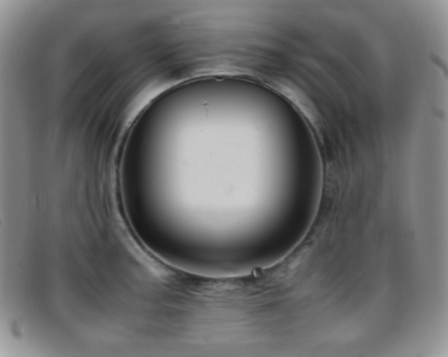X0000096671187200802051215