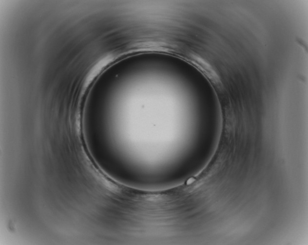 X0000096671188200802051215