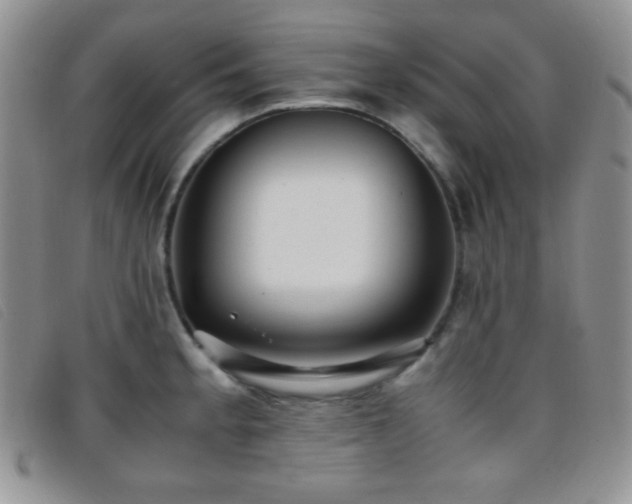 X0000096671189200802051215