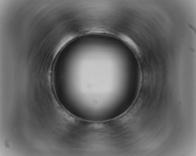X0000096671190200802051215