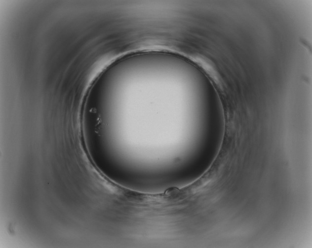 X0000096671191200802051215
