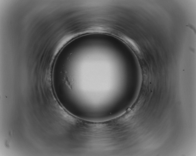 X0000096671192200802051215