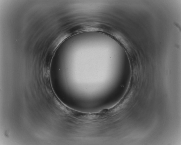 X0000096671193200802051215