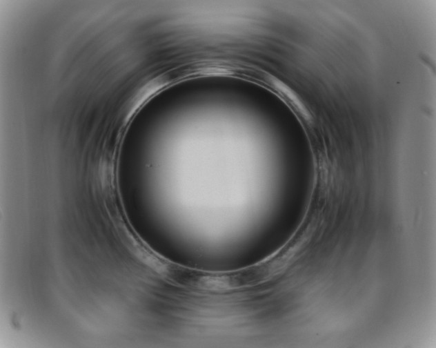 X0000096671194200802051215