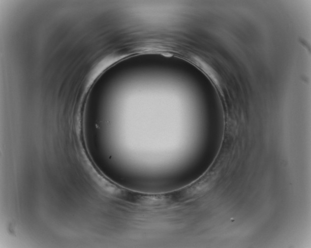 X0000096671195200802051215