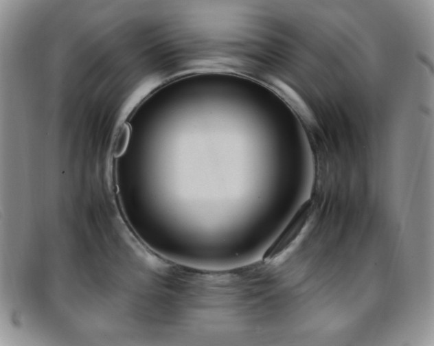 X0000096671196200802051215