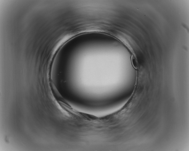 X0000096671197200802051215