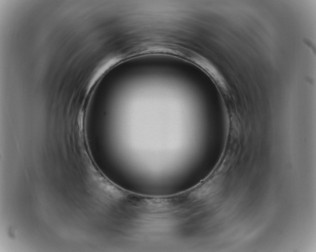 X0000096671198200802051215