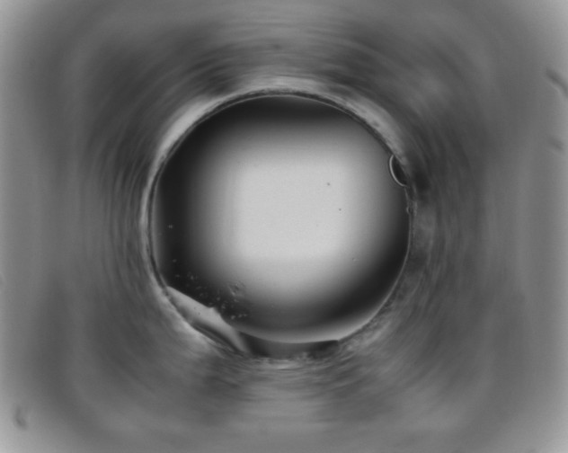 X0000096671199200802051215