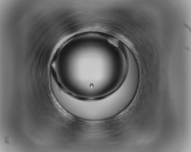 X0000096671200200802051215