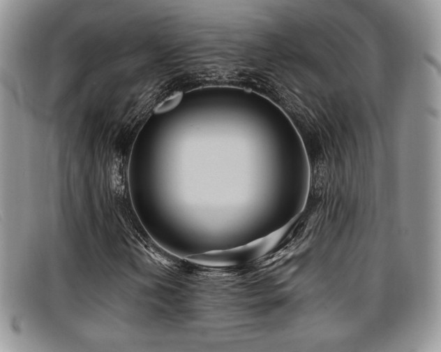 X0000096671202200802051215