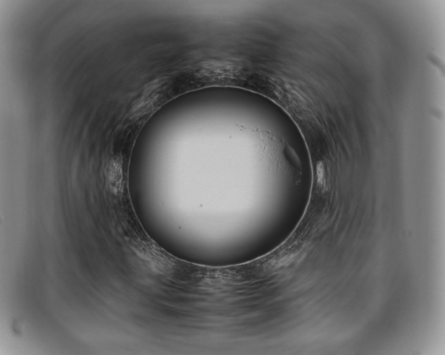 X0000096671203200802051215