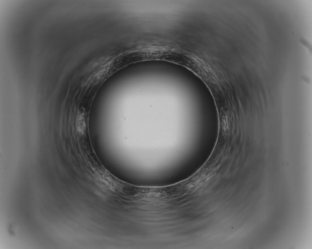 X0000096671204200802051215
