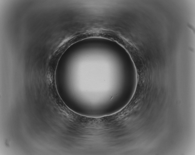 X0000096671206200802051215