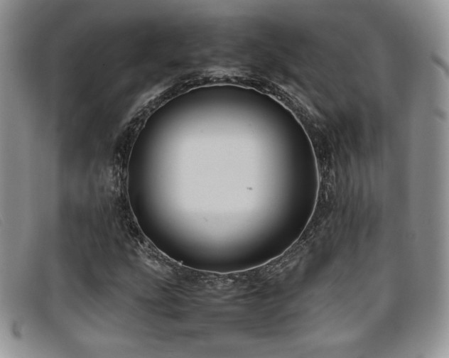 X0000096671207200802051215