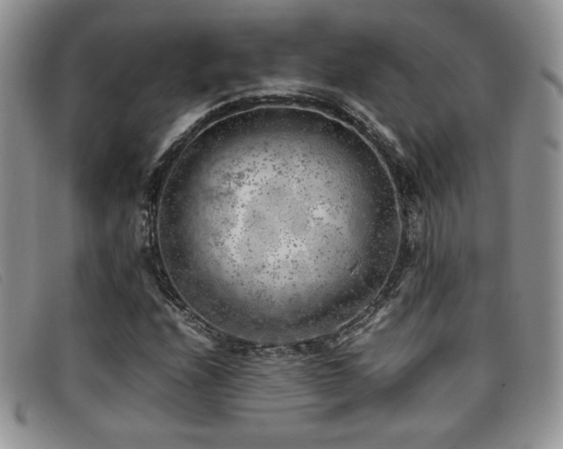 X0000096671208200802051215