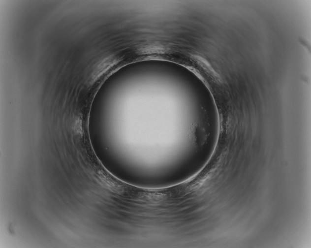 X0000096671209200802051215