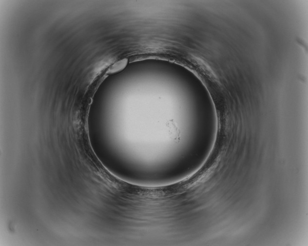 X0000096671210200802051215