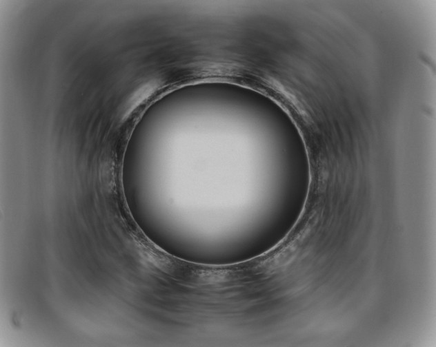 X0000096671211200802051215