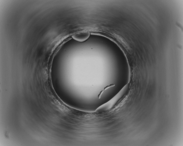 X0000096671212200802051215