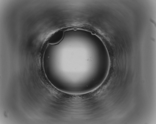 X0000096671214200802051215