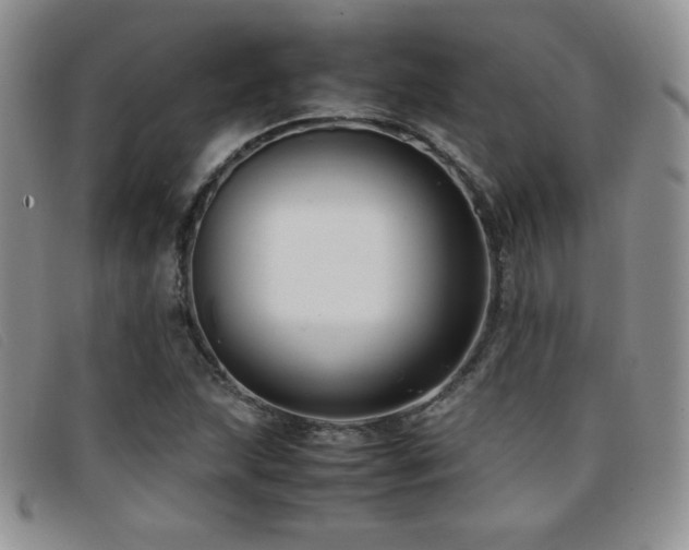 X0000096671215200802051215