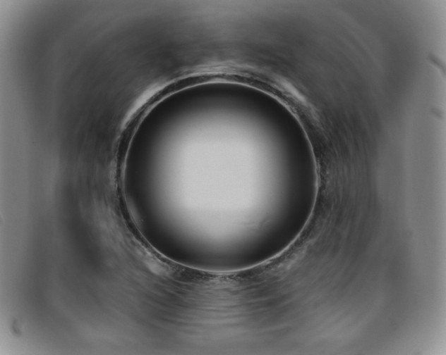 X0000096671216200802051215