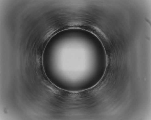 X0000096671217200802051215