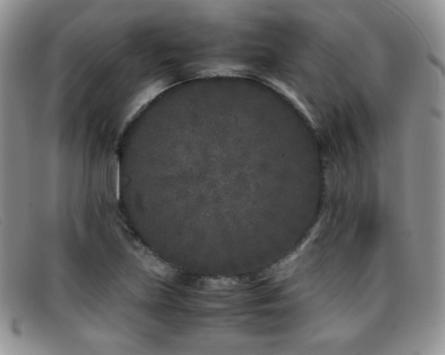 X0000096671219200802051215
