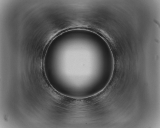X0000096671220200802051215