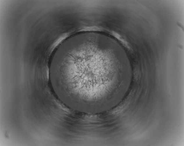 X0000096671221200802051215