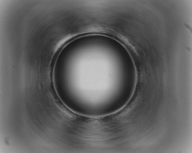 X0000096671222200802051215