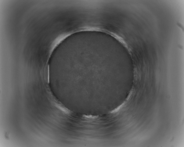 X0000096671223200802051215