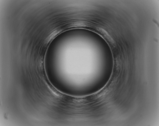 X0000096671225200802051215