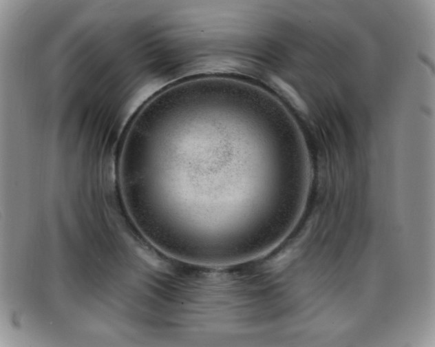 X0000096671226200802051215