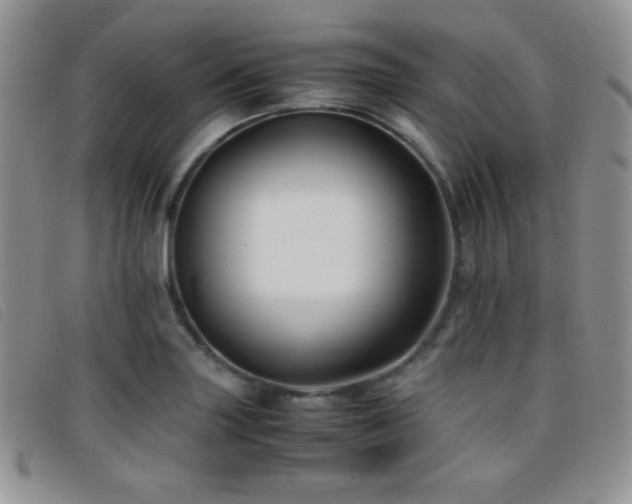 X0000096671227200802051215