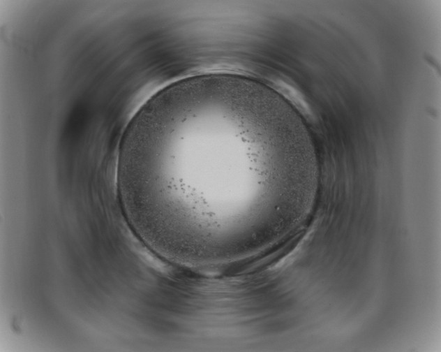 X0000096671228200802051215