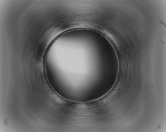X0000096671230200802051215