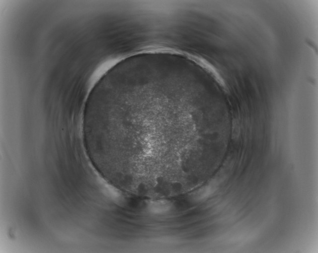 X0000096671231200802051215