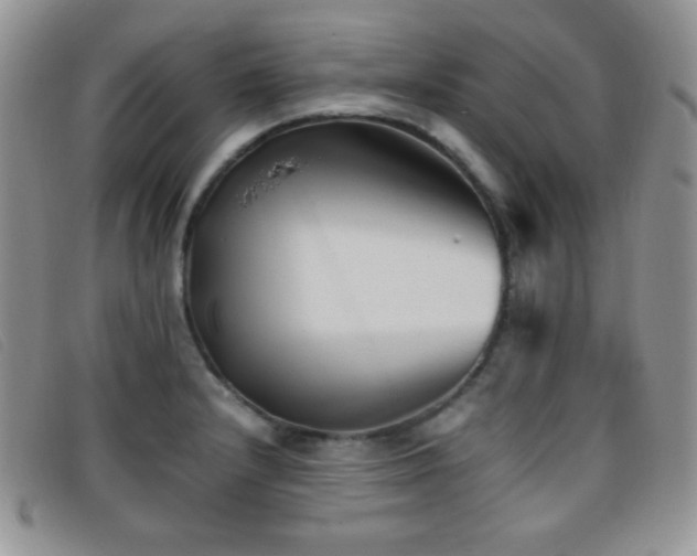 X0000096671232200802051215