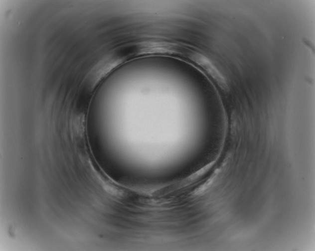 X0000096671233200802051215