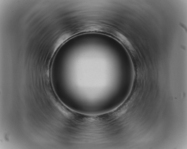 X0000096671234200802051215