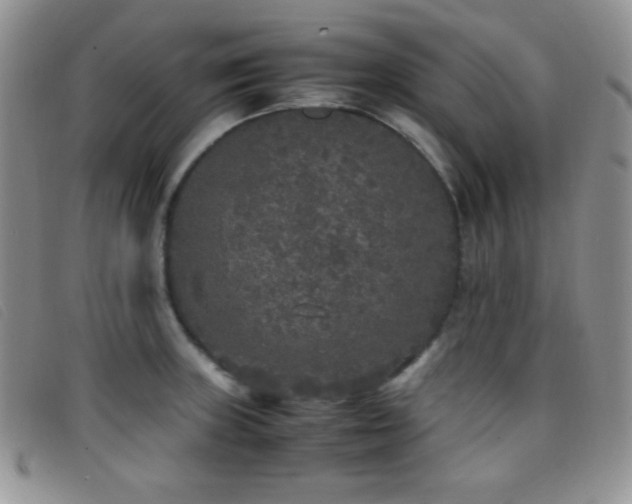 X0000096671235200802051215