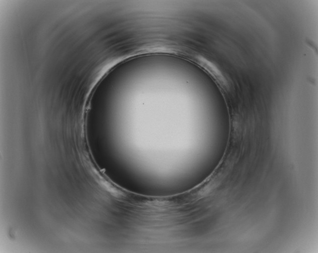 X0000096671236200802051215
